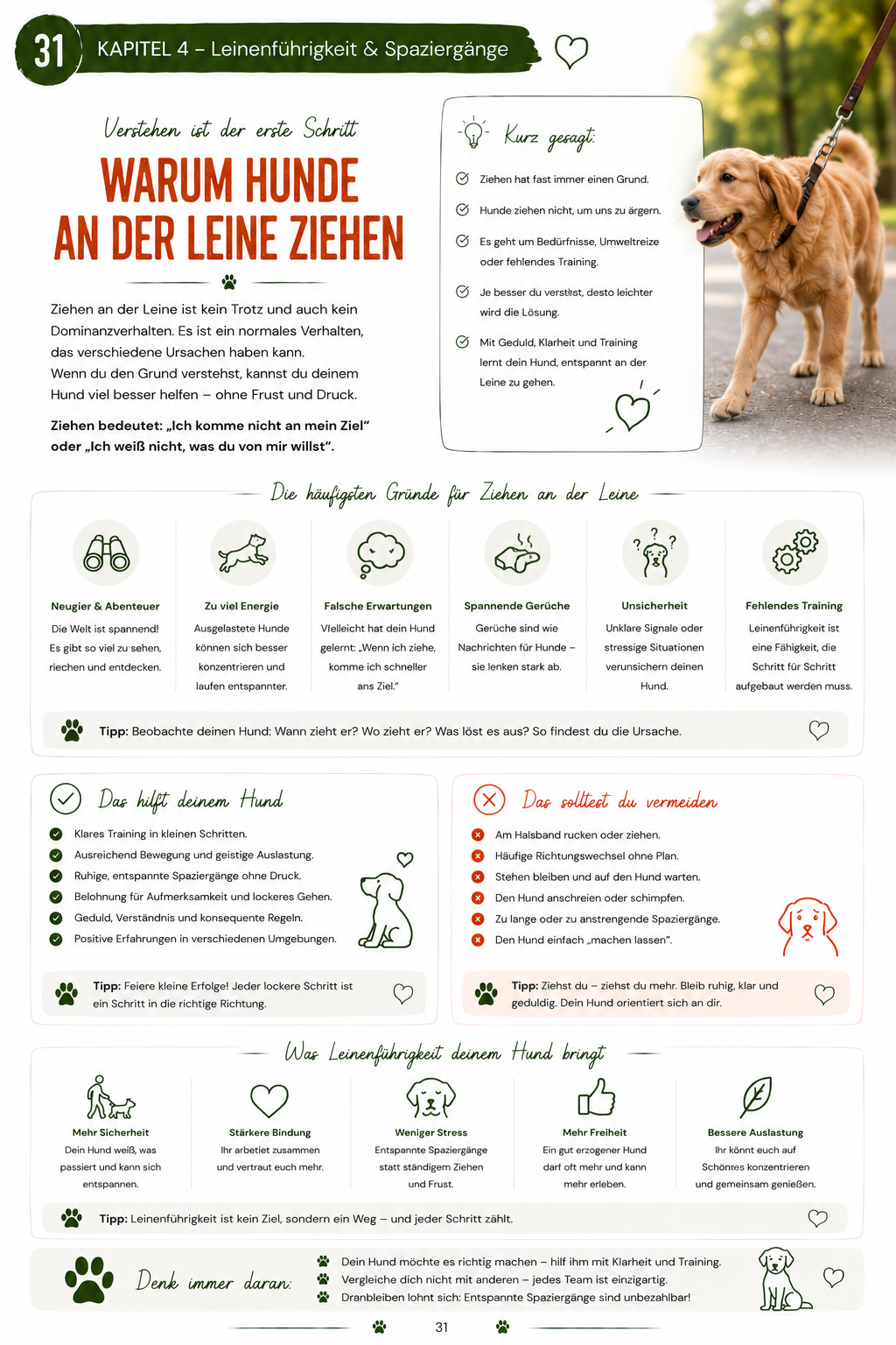 Das 1x1 der Hundeerziehung (Sofort-Download)